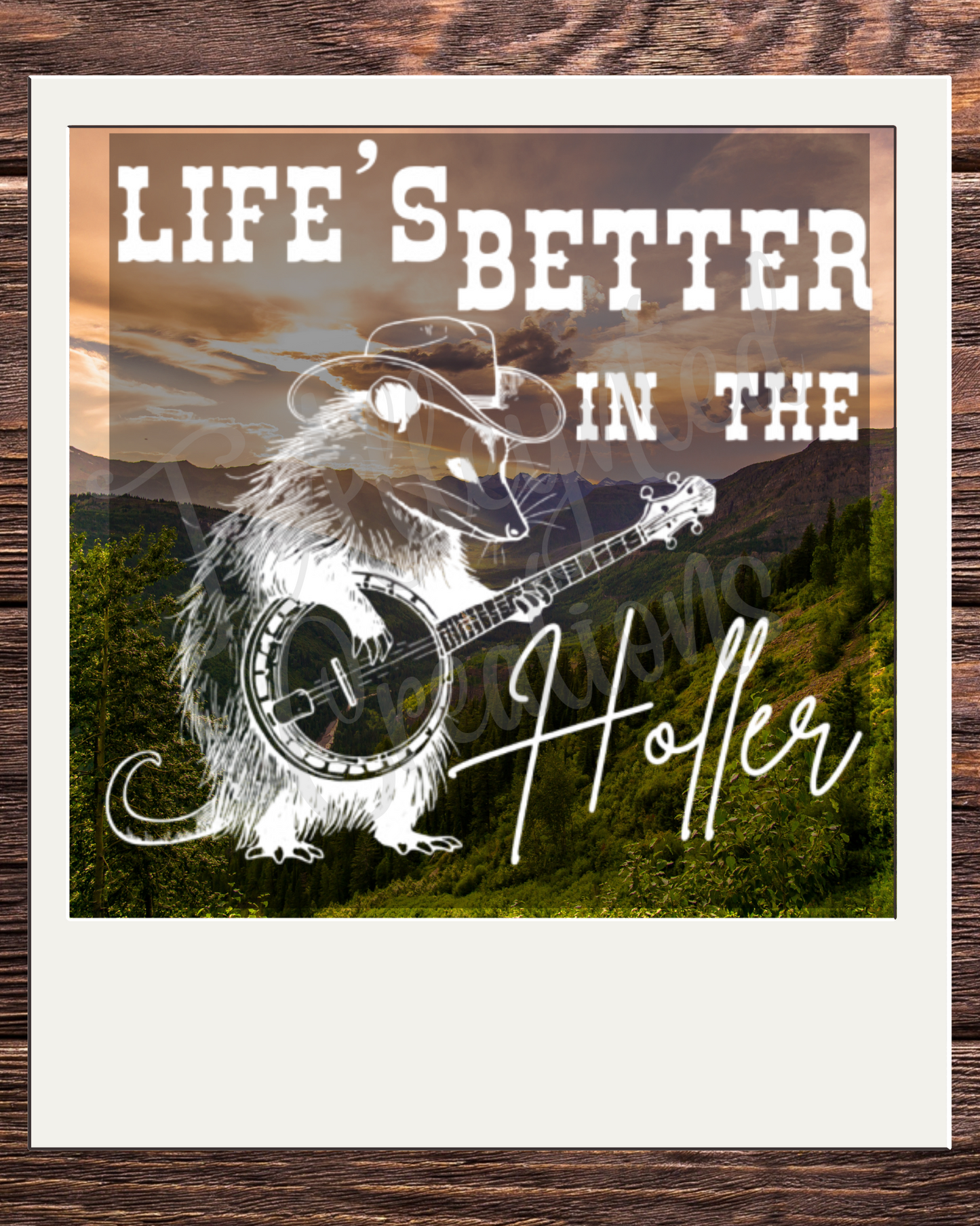 Life's Better In The Holler Possum Tee