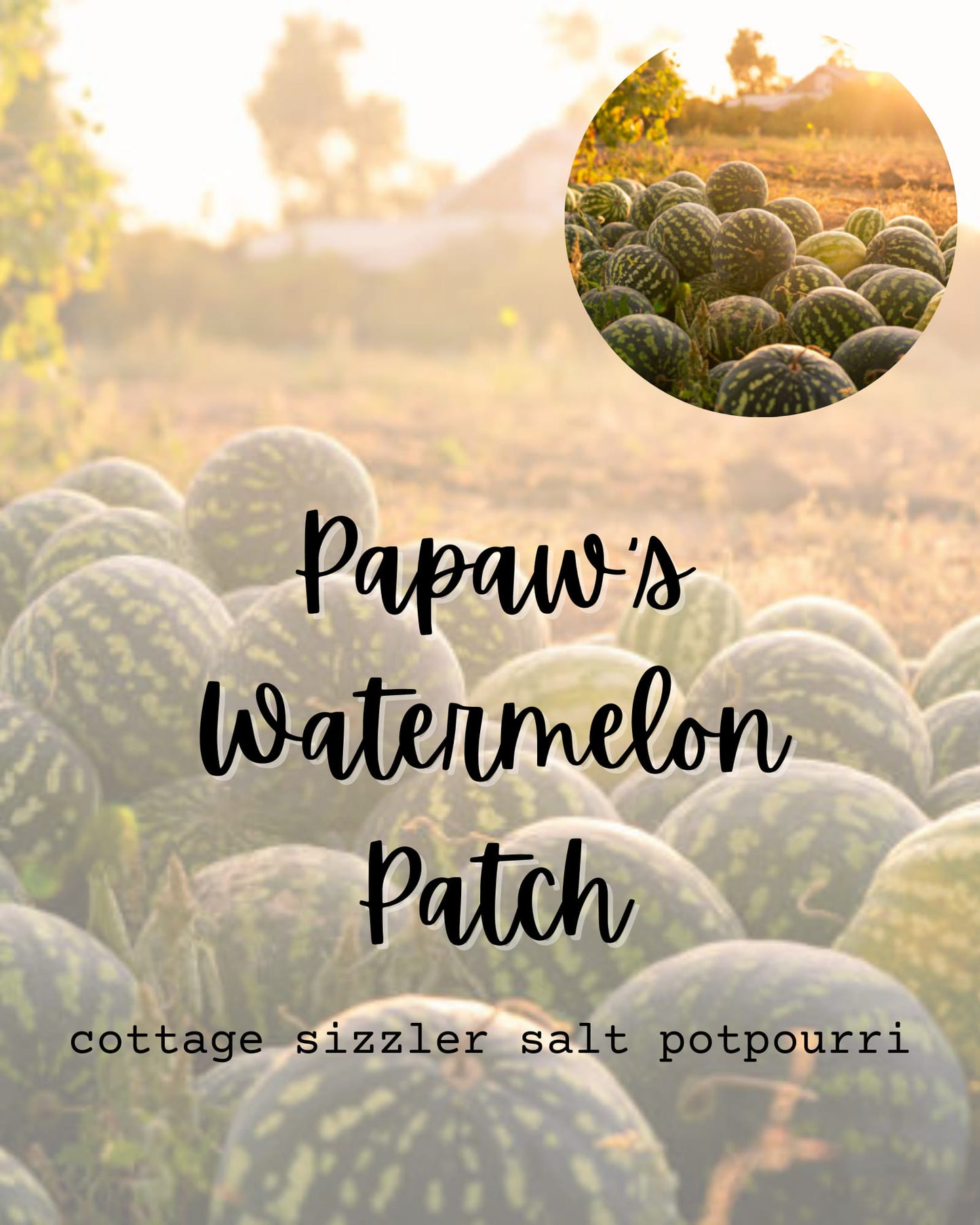 Papaw's Watermelon Patch Cottage Sizzler Potpourri