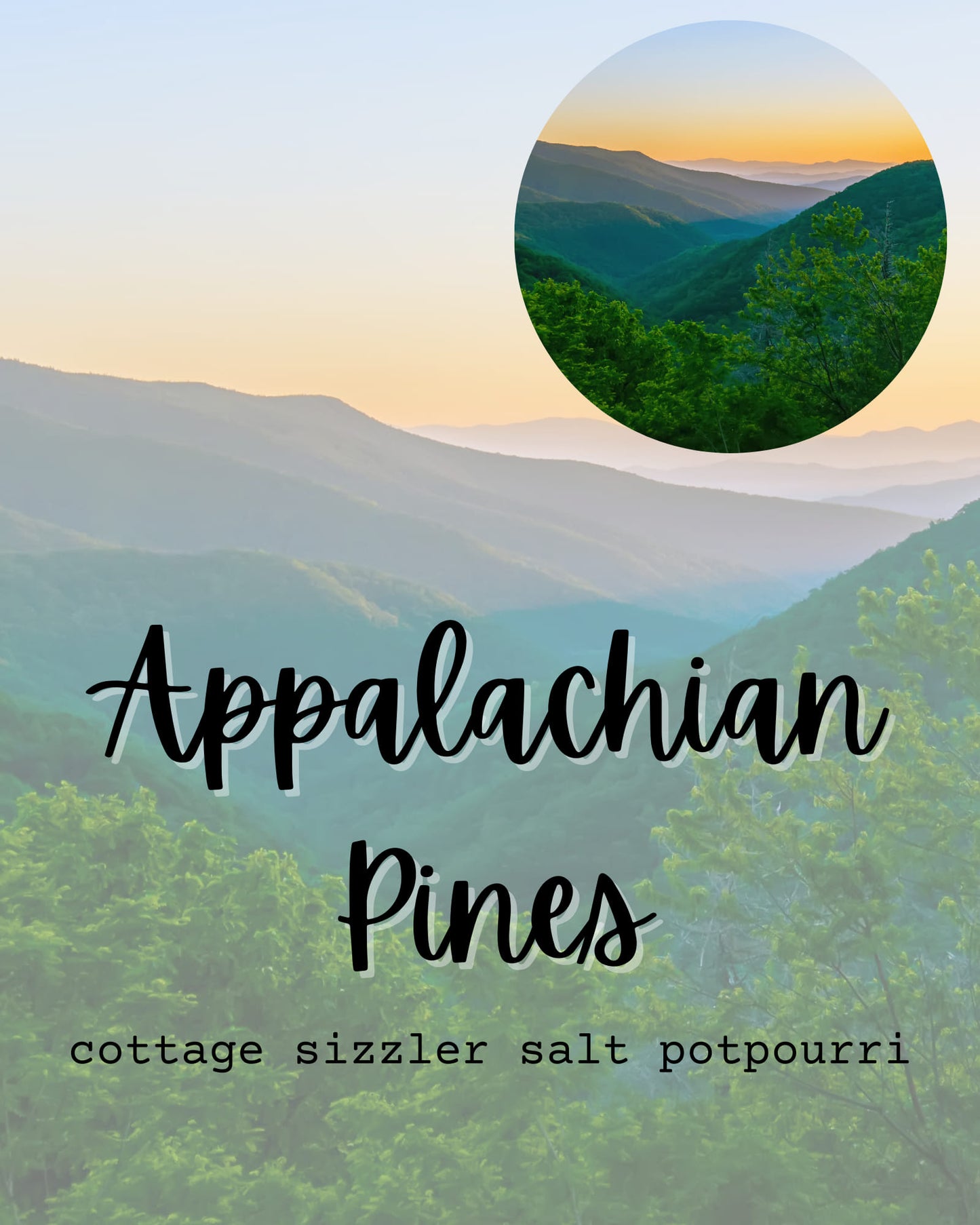 Appalachian Pine Cottage Sizzler Potpourri