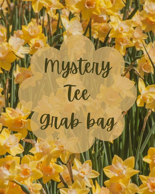 Mystery Tee (grab bag)