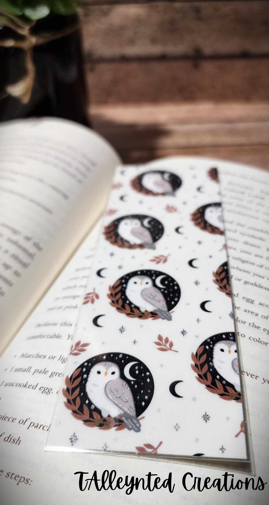 Owl Moon Magic Bookmark print